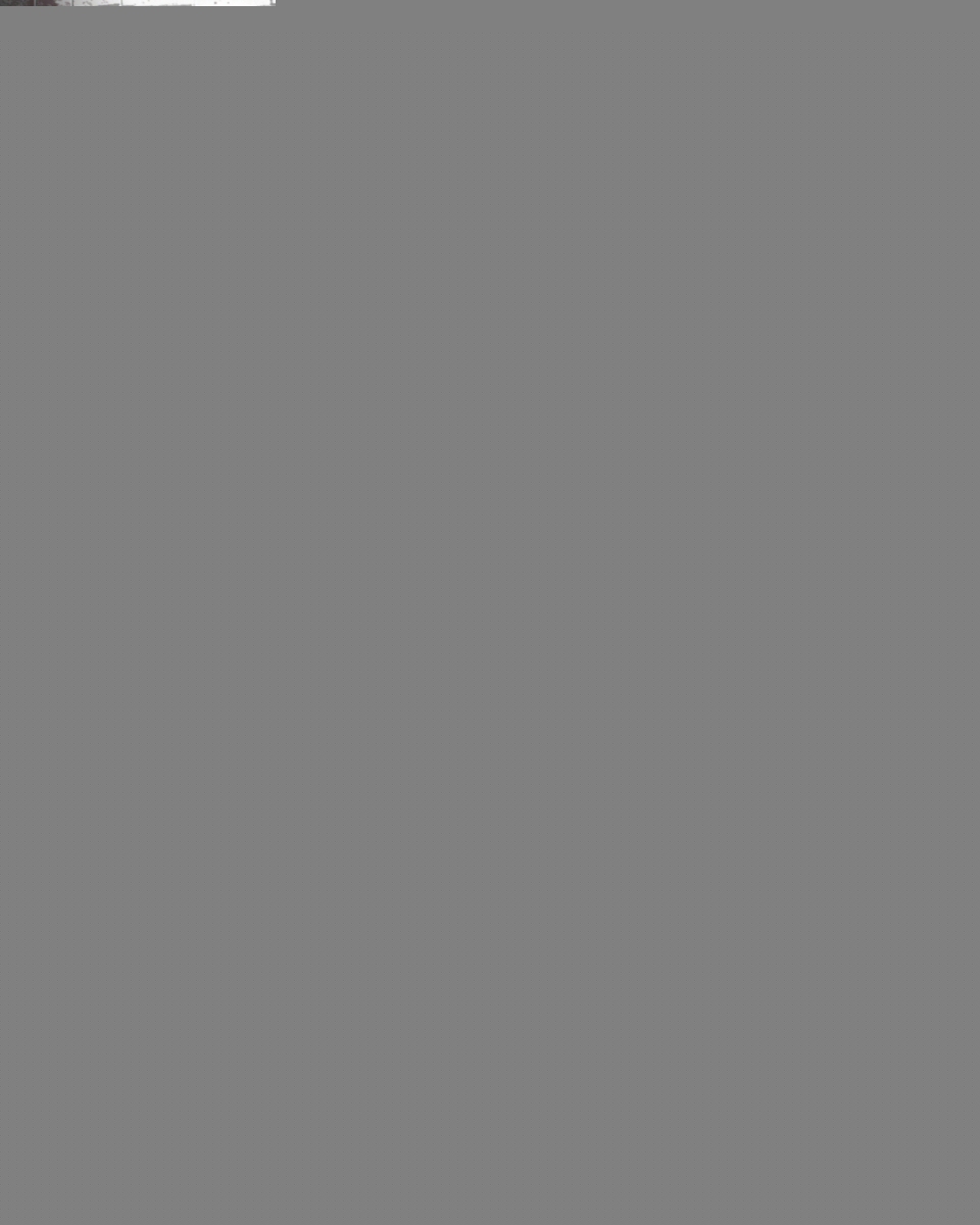 dios-f412-light-cream-stan-3
