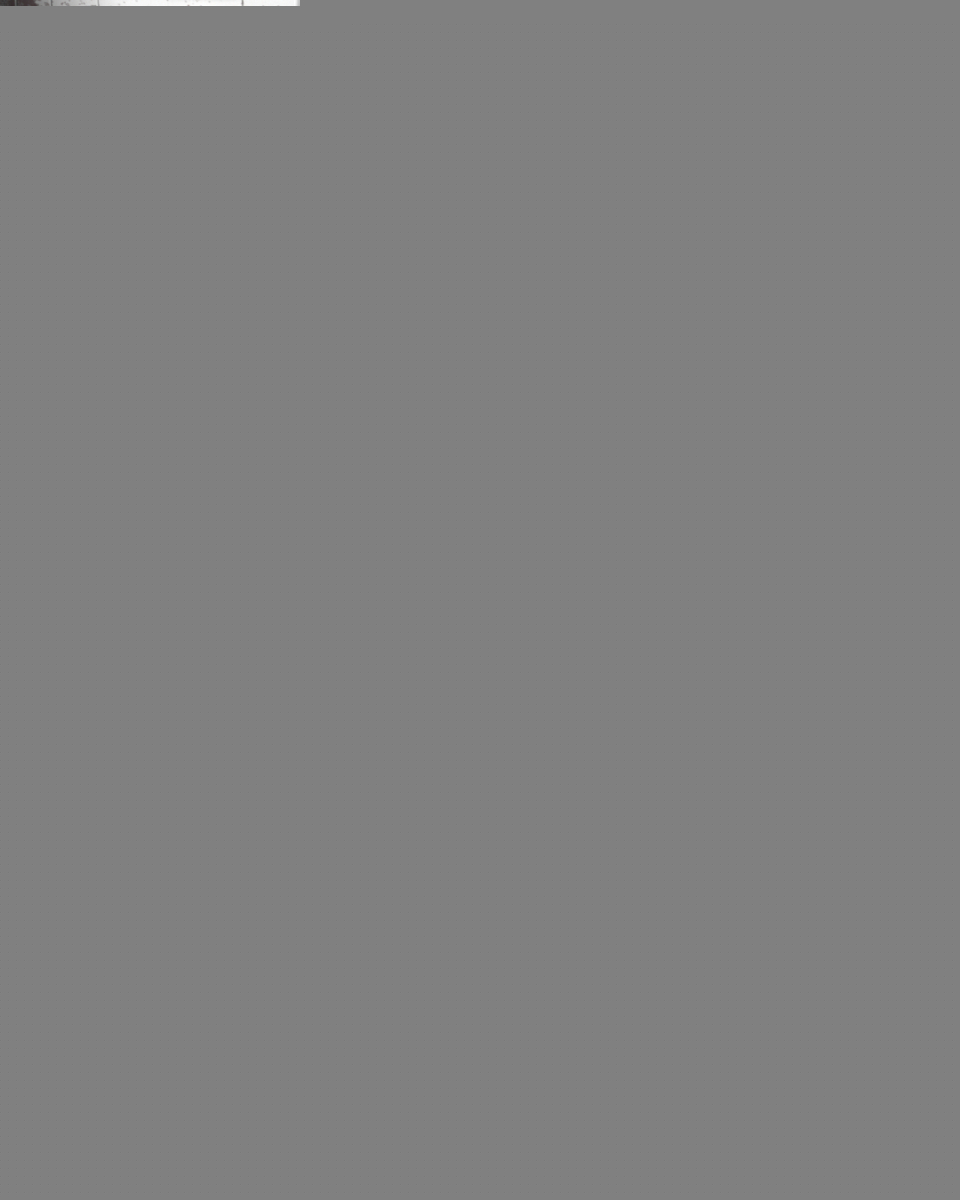 monblan-f537-cream-stan-3 (1)